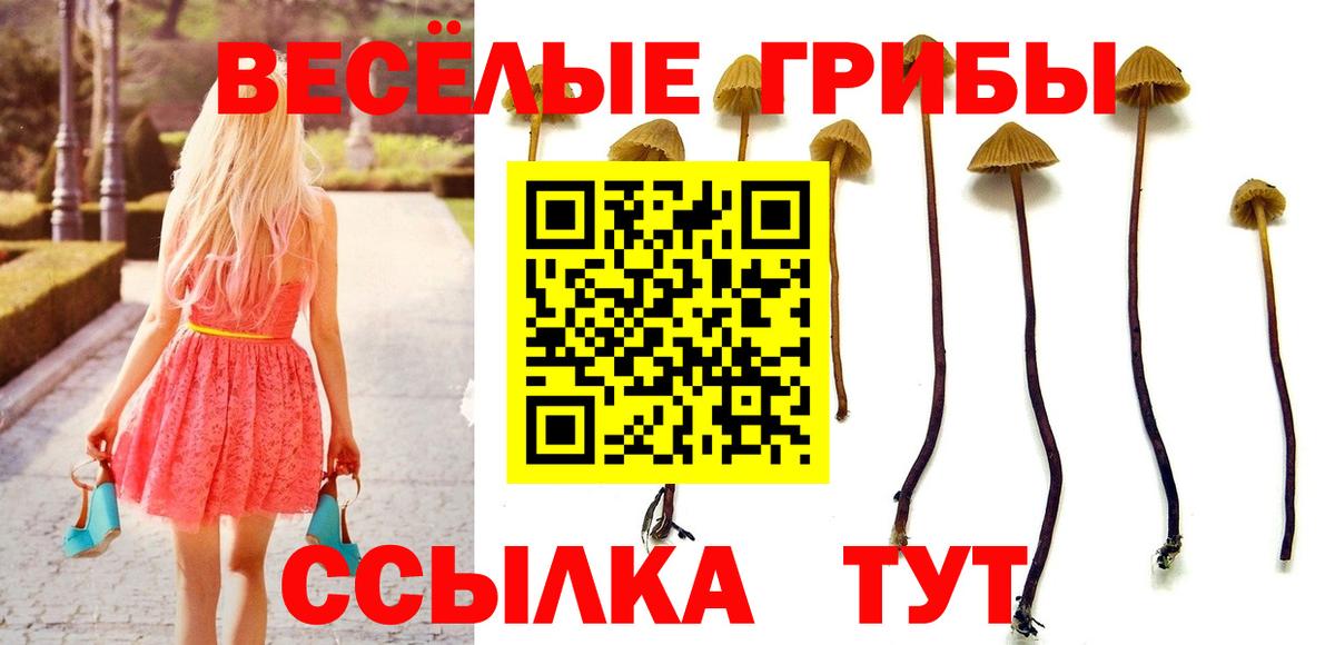 Галлюциногенные грибы MAGIC MUSHROOMS  Вход с VPN  Батайск 