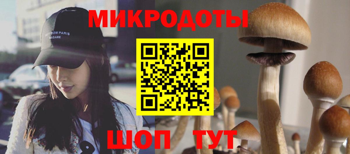 Псилоцибиновые грибы мухоморы Батайск